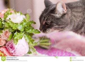 ???????????????????????????????????????????????????